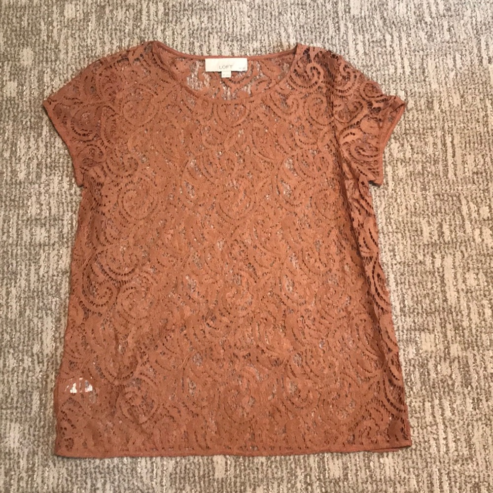 LOFT lace, short sleeve blouse